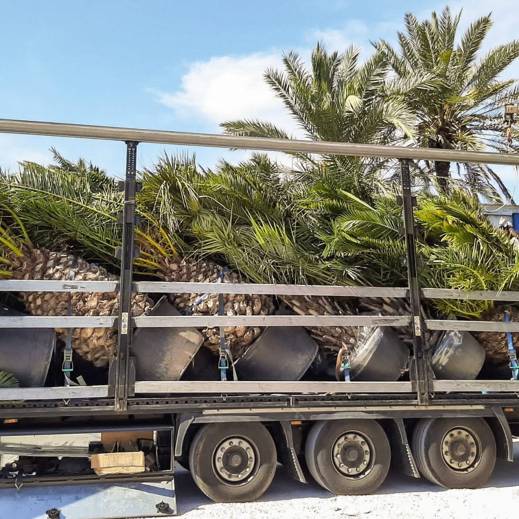 Logistics | ifplants